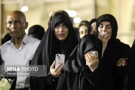 عکس خبری،پیکر محمود فرشچیان