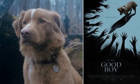 فیلم ترسناک Good Boy،اخبار فرهنگی،خبرهای فرهنگی