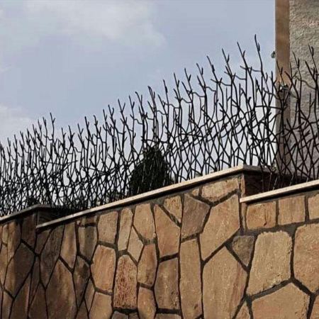 مزایای حفاظ شاخ گوزنی مزایای حفاظ شاخ گوزنی