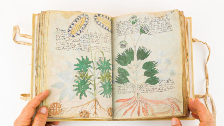 راز ۵۰۰ ساله نسخه خطی وینیچ،اخبارگوناگون,خبرهای گوناگون راز ۵۰۰ ساله نسخه خطی وینیچ ,اخبارگوناگون,خبرهای گوناگون