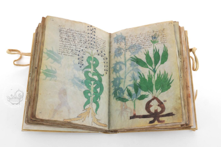 راز ۵۰۰ ساله نسخه خطی وینیچ،اخبارگوناگون,خبرهای گوناگون راز ۵۰۰ ساله نسخه خطی وینیچ ,اخبارگوناگون,خبرهای گوناگون
