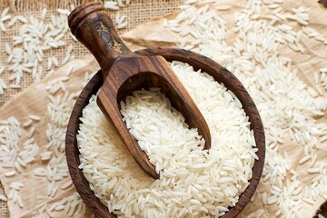 اخبار،اخبار جدید،اخبار روز