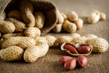 بادام زمینی،اخبار پزشکی،خبرهای پزشکی