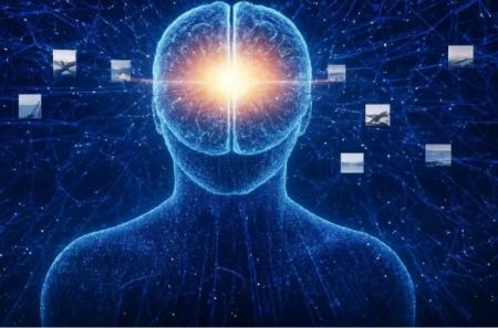اخبار,اخبار امروز,خبرهای جدیدمغز،اخبار پزشکی،خبرهای پزشکی