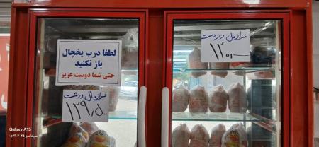 قیمت مرغ،اخبار اقتصادی،خبرهای اقتصادی قیمت مرغ،اخبار اقتصادی،خبرهای اقتصادی
