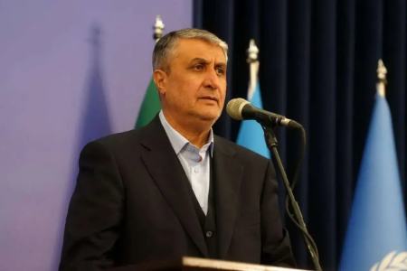 رئیس سازمان انرژی اتمی،اخبار سیاست خارجی،خبرهای سیاست خارجی