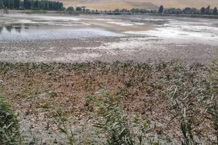 سراب نیلوفر،اخبار اجتماعی،خبرهای اجتماعی