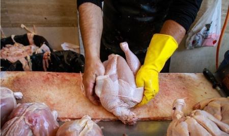 قیمت مرغ،اخبار اقتصادی،خبرهای اقتصادی