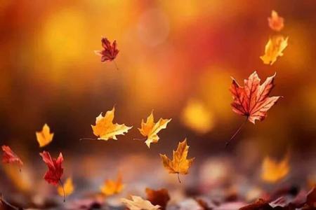 پاییز،اخبار اجتماعی،خبرهای اجتماعی پاییز،اخبار اجتماعی،خبرهای اجتماعی