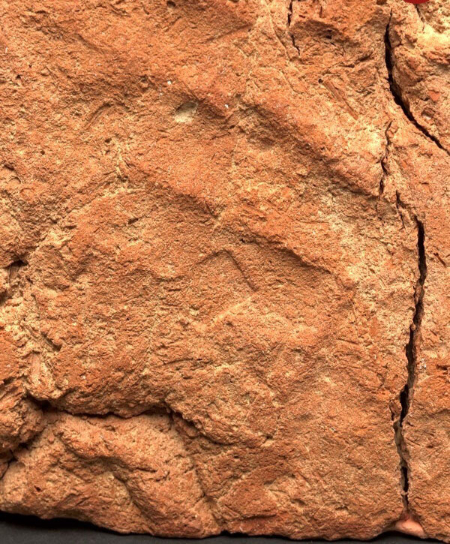 خانۀ روح  ,اخبارگوناگون,خبرهای گوناگون 