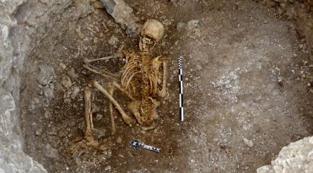 اسکلت،اخبار گوناگون،خبرهای گوناگون