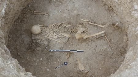 اسکلت،اخبار گوناگون،خبرهای گوناگون