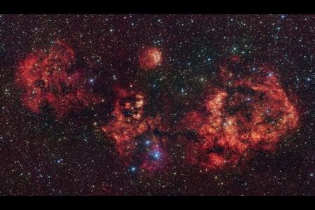 خفاش هالووین،اخبار علمی،خبرهای علمی خفاش هالووین،اخبار علمی،خبرهای علمی