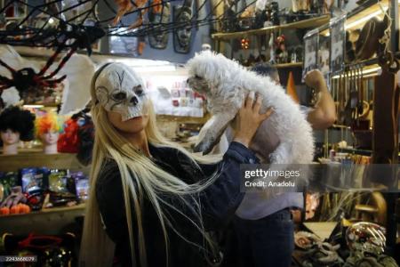 عکس خبری،جشن هالووین 2025 در تهران عکس خبری،جشن هالووین 2025 در تهران