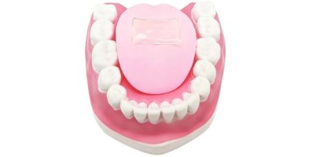 زبان مصنوعی،اخبار علمی،خبرهای علمی زبان مصنوعی،اخبار علمی،خبرهای علمی