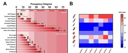 زبان مصنوعی،اخبار علمی،خبرهای علمی زبان مصنوعی،اخبار علمی،خبرهای علمی