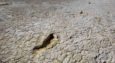 دریاچه مانگو،اخبار گوناگون،خبرهای گوناگون دریاچه مانگو،اخبار گوناگون،خبرهای گوناگون