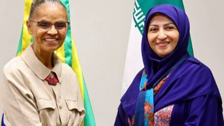 شینا انصاری،اخبار سیاسی،خبرهای سیاسی