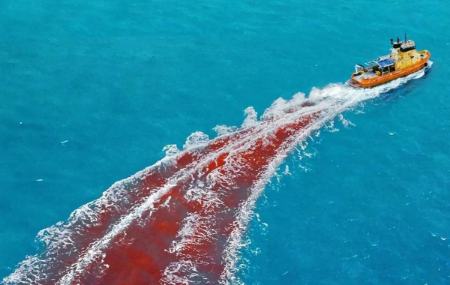 فیلم ترسناک،اخبار فرهنگی،خبرهای فرهنگی