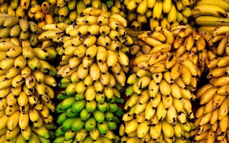 موز،اخبار اقتصادی،خبرهای اقتصادی موز،اخبار اقتصادی،خبرهای اقتصادی