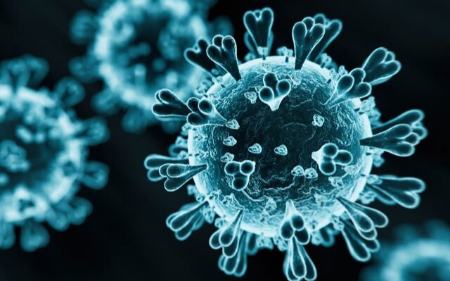 کرونای تیغی،اخبار پزشکی،خبرهای پزشکی