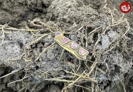 کلاغ طلایی،اخبار گوناگون،خبرهای گوناگون