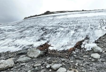 تلۀ گوزن،اخبار گوناگون،خبرهای گوناگون تلۀ گوزن،اخبار گوناگون،خبرهای گوناگون