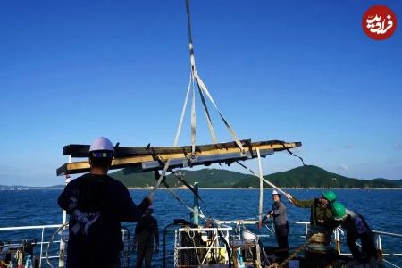 کشتی دوران چوسان،اخبار گوناگون،خبرهای گوناگون کشتی دوران چوسان،اخبار گوناگون،خبرهای گوناگون