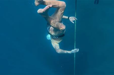 والدمار برودرر،اخبار گوناگون،خبرهای گوناگون