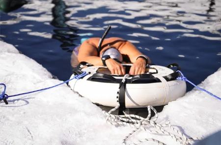 والدمار برودرر،اخبار گوناگون،خبرهای گوناگون