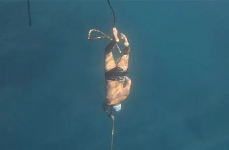 والدمار برودرر،اخبار گوناگون،خبرهای گوناگون