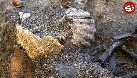 مقبره،اخبار گوناگون،خبرهای گوناگون