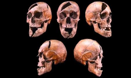 اسکلت،اخبار گوناگون،خبرهای گوناگون اسکلت،اخبار گوناگون،خبرهای گوناگون