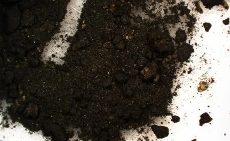 دوات،اخبار گوناگون،خبرهای گوناگون دوات،اخبار گوناگون،خبرهای گوناگون