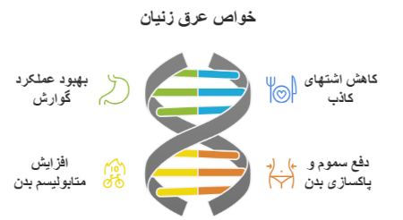 عرق زنیان برای لاغری شکم و چربی سوزی عرق زنیان برای لاغری شکم و چربی سوزی