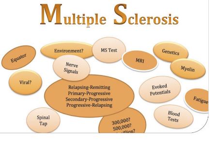 ام اس چیست؟