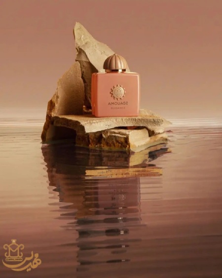 اکسترا پرفیوم آمواج گایدنس