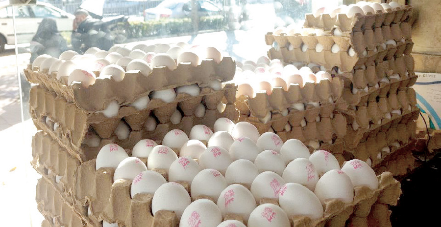 قیمت تخم مرغ،اخباراقتصادی ،خبرهای اقتصادی قیمت تخم مرغ,اخباراقتصادی ,خبرهای اقتصادی