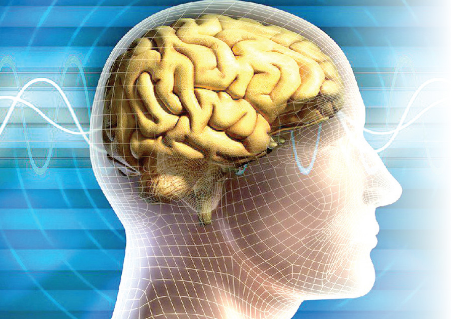 خاموشی ناگهانی سلولهای مغز،اخبار پزشکی ،خبرهای پزشکی خاموشی ناگهانی سلولهای مغز,اخبار پزشکی ,خبرهای پزشکی