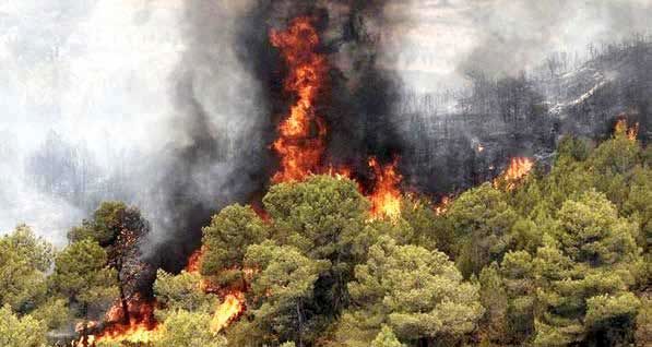 اخبار،اخبار جدید،اخبار روز اخبار،اخبار جدید،اخبار روز