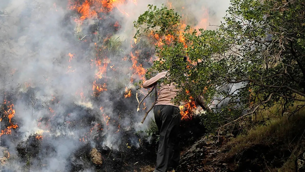 اخبار،اخبار جدید،اخبار روز