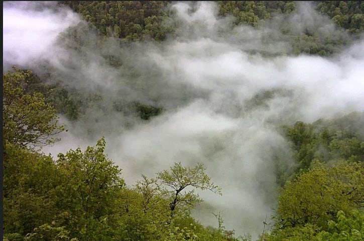 اخبار،اخبار جدید،اخبار روز