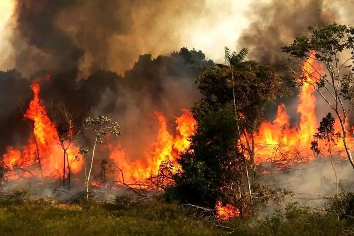 اخبار،اخبار جدید،اخبار روز