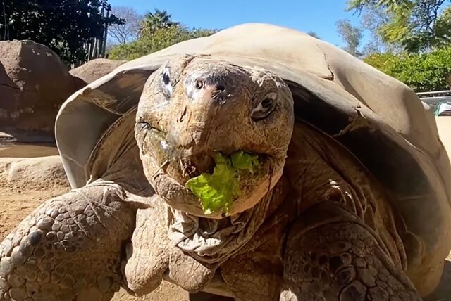 اخبار،اخبار جدید،اخبار روز