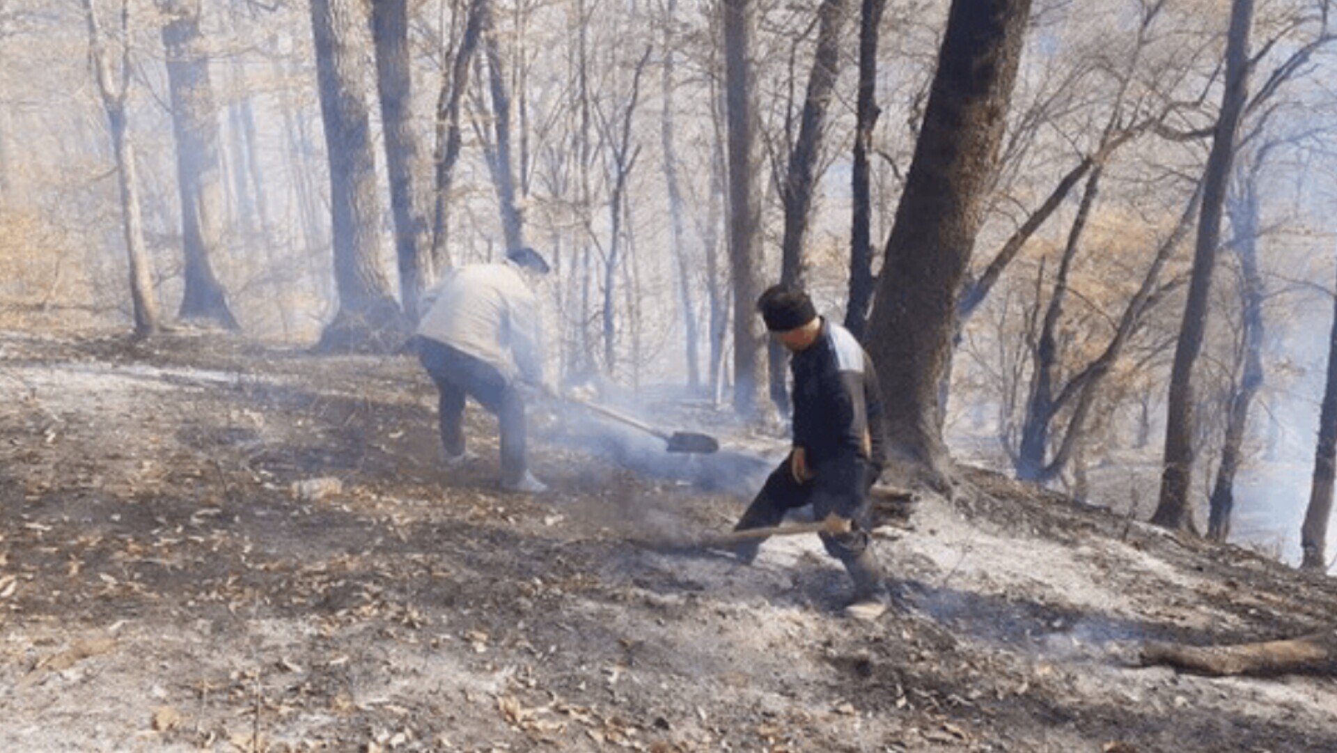 اخبار،اخبار جدید،اخبار روز