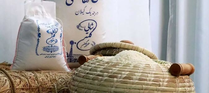 اخبار،اخبار جدید،اخبار روز اخبار،اخبار جدید،اخبار روز