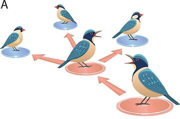 اخبار،اخبار جدید،اخبار روز اخبار،اخبار جدید،اخبار روز