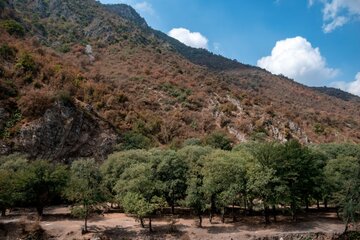 اخبار،اخبار جدید،اخبار روز اخبار،اخبار جدید،اخبار روز