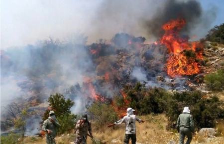 آتش‌سوزی جنگل هیرکانی،اخبار اجتماعی،خبرهای اجتماعی