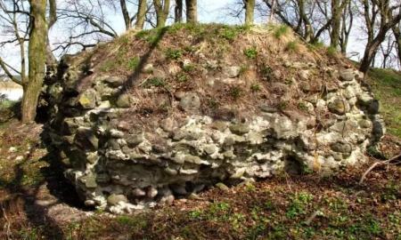 جواهر اربابی،اخبار گوناگون،خبرهای گوناگون